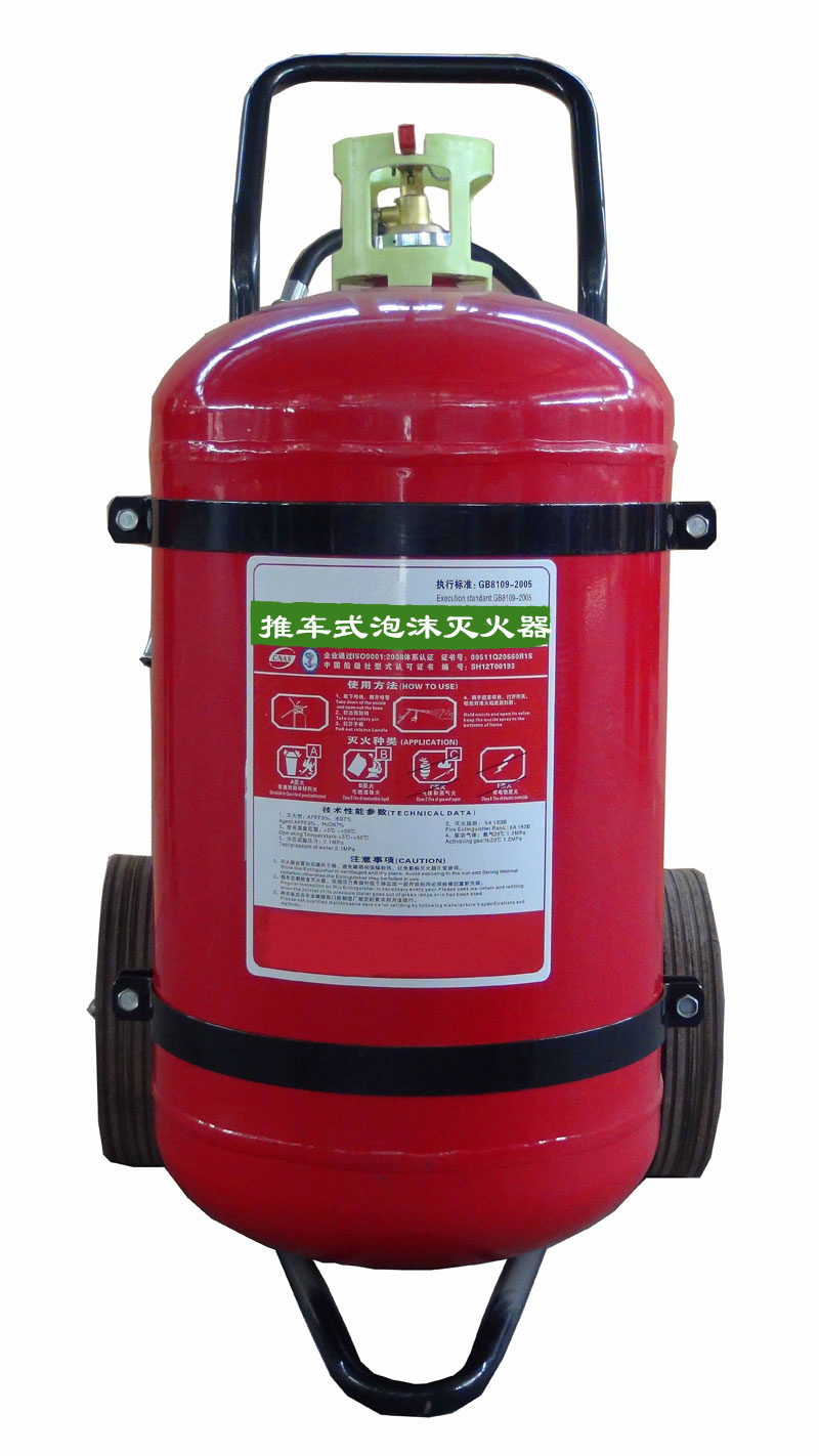 Foam Fire Extinguisher with Propellant Gas Cartridge